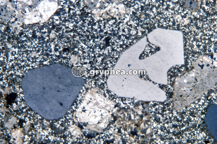 Quartz corrodé dans Rhyolite LPA x10 - gryphea.com